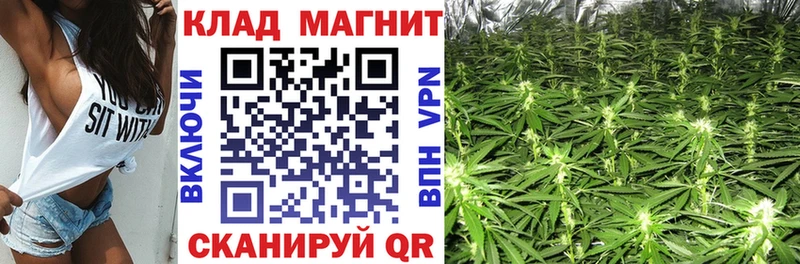 Виды наркотиков купить Кировск СК Бошки Шишки