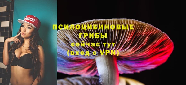 бошки Балахна